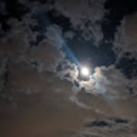 Meet your Posher, Katelyn - Picture 1 of 1